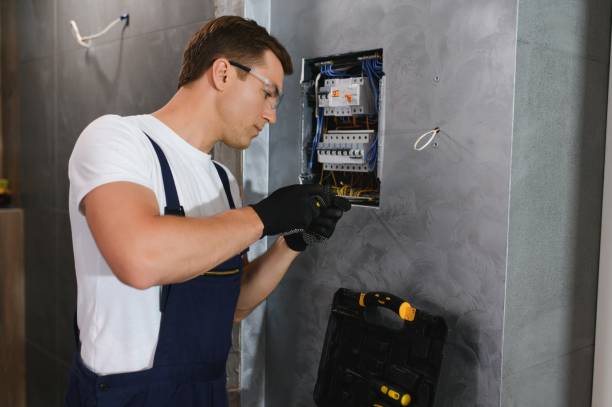 Best Electric Panel Repair  in Chama, NM