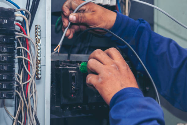 Best Electric Panel Repair  in Chama, NM